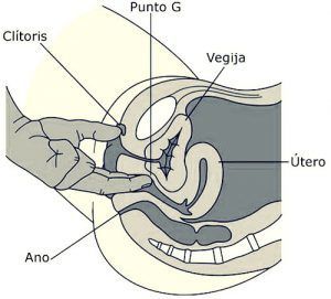 g-spot-women