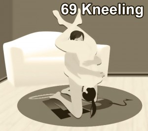 69 kneeling sex position